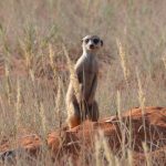 Namibia