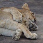 Tanzania